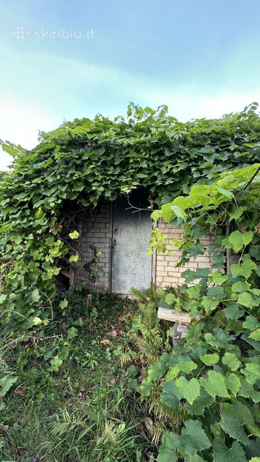 1 ha žemės ir sena sodyba Bebrūnų kaime