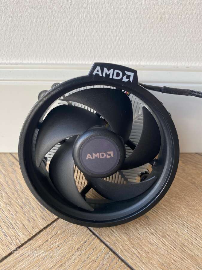 Amd