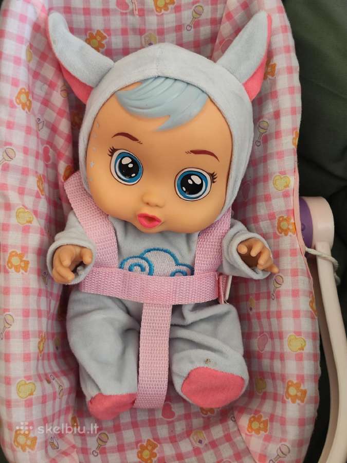 Labai isdykus beždžionė Luna ji moka cypseti. Moka - nuotraukos Nr. 16