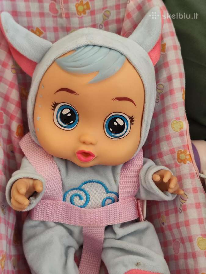 Labai isdykus beždžionė Luna ji moka cypseti. Moka - nuotraukos Nr. 17