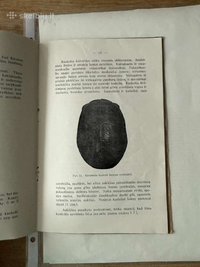Akmens periodo žmogus Žemaitijoj ir Suvalkijo 1931 - nuotraukos Nr. 5