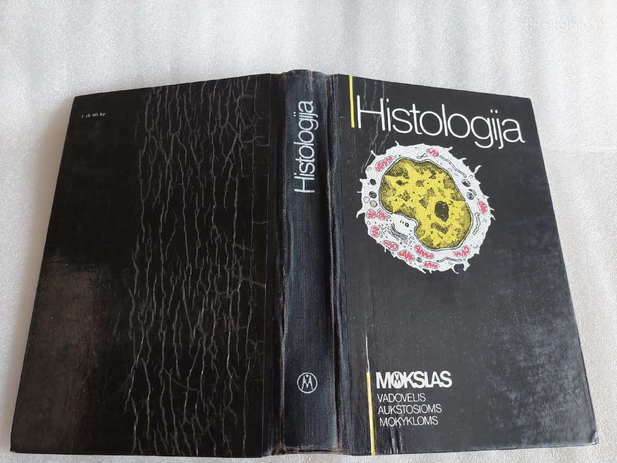 Histologija - nuotraukos Nr. 9