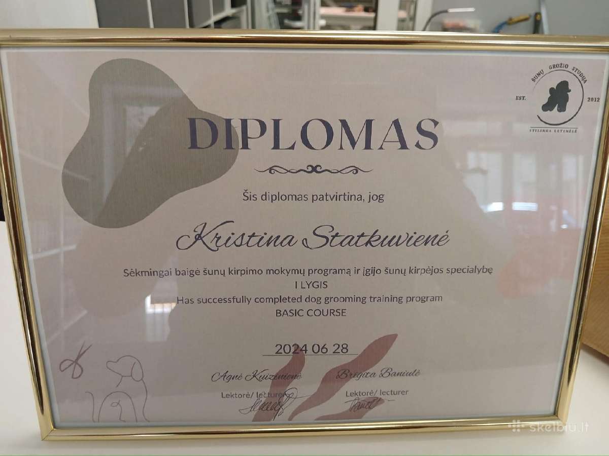 Šunų kirpimas, nukailinimas. - nuotraukos Nr. 14