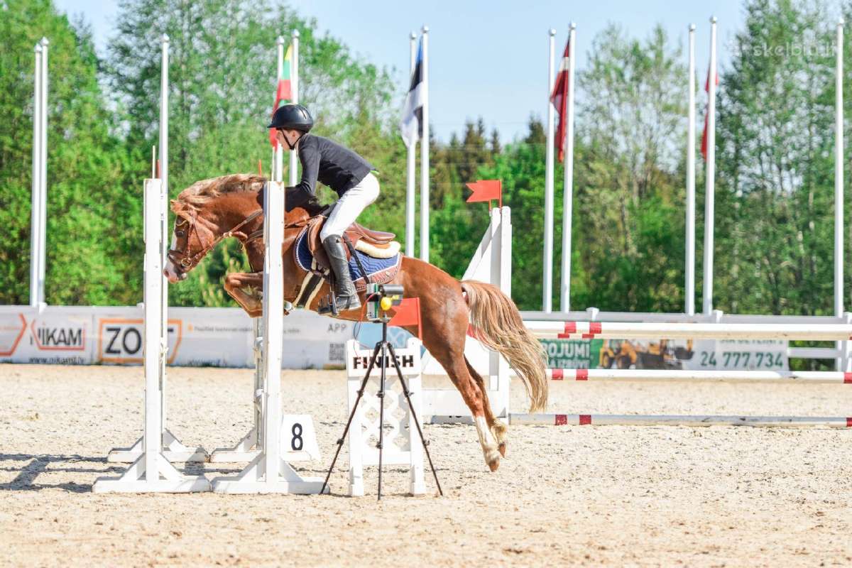 Sport pony