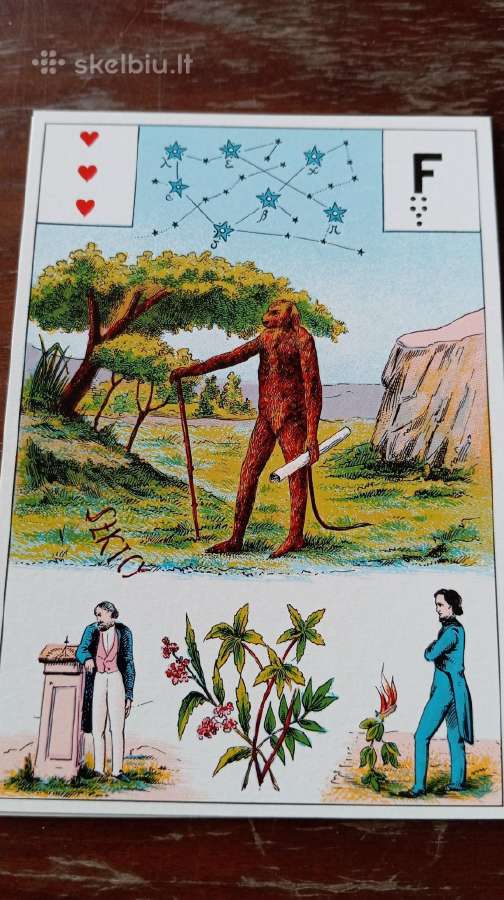 Lenormand kortos - nuotraukos Nr. 24