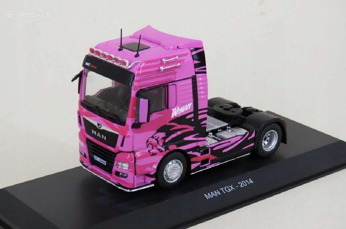 Man Tgx