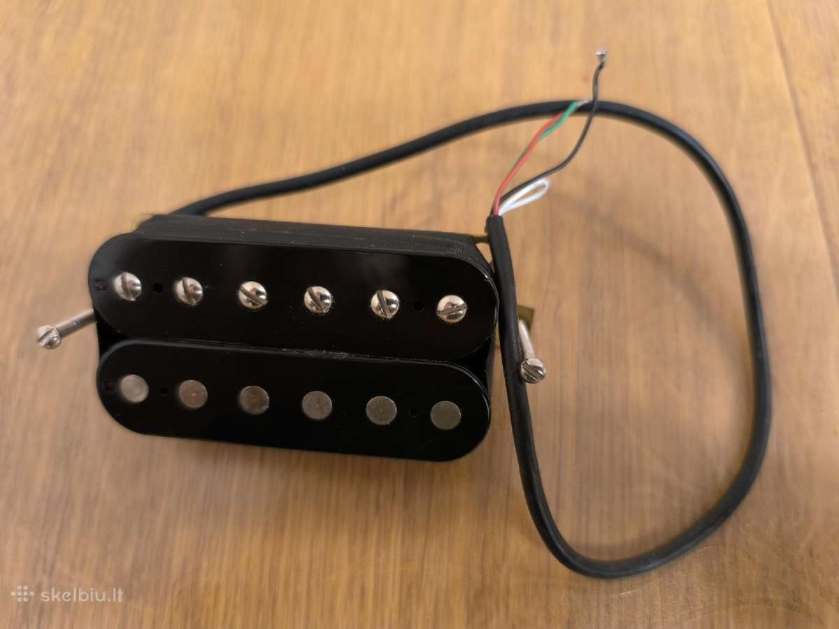 Gitaros nuėmėjas