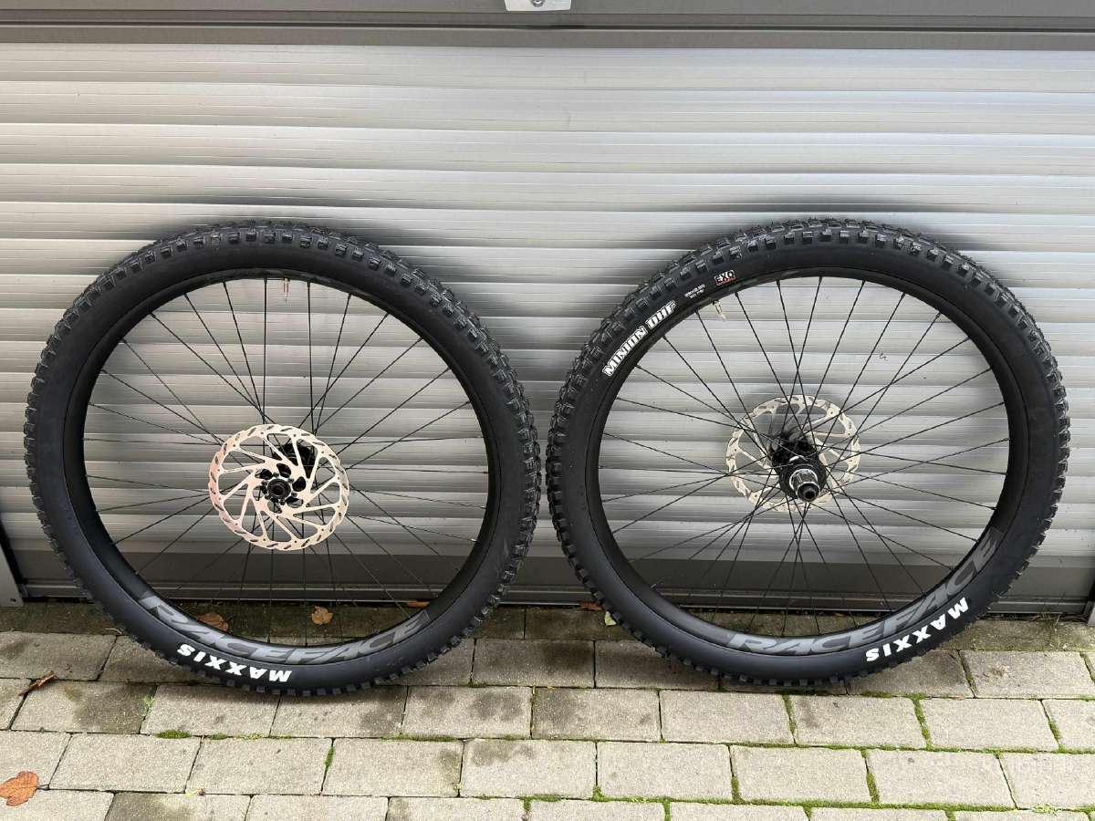 Nauji MTB/emtb Ratai 29' Race Face Ar30 + Novatec