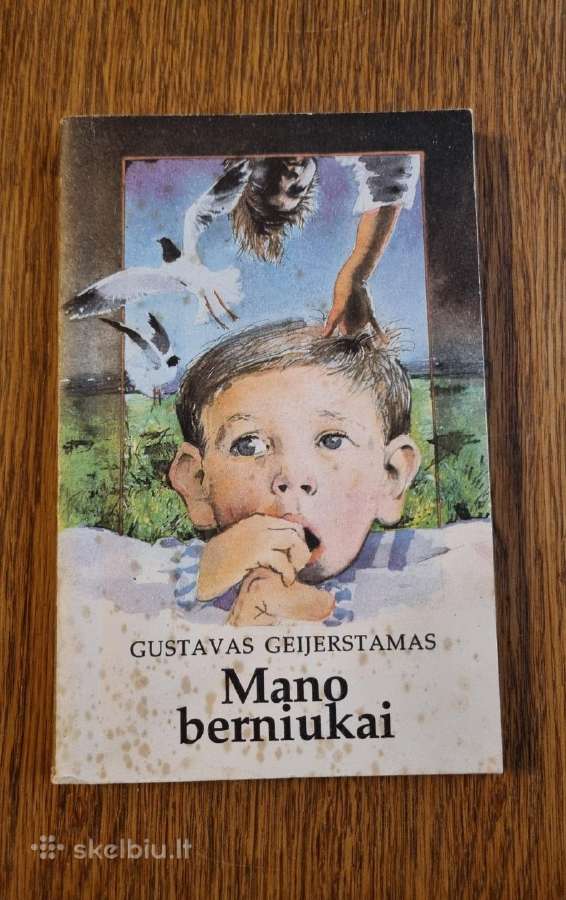 Knyga "Mano berniukai"