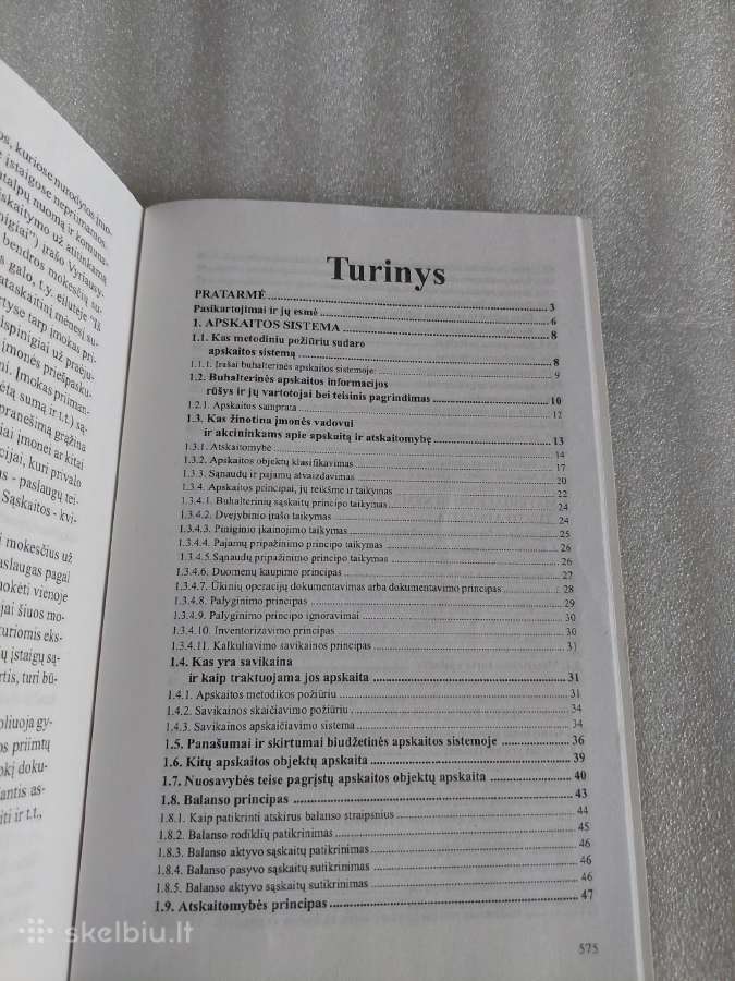 Apskaitos sistema - nuotraukos Nr. 3