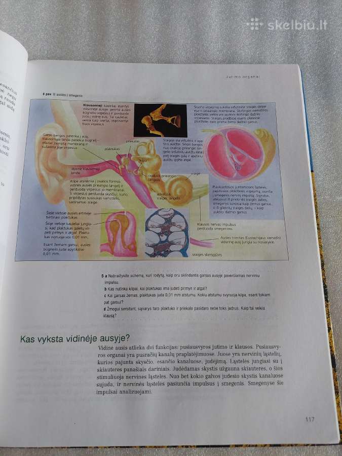 Biologija 10 klasė - nuotraukos Nr. 5