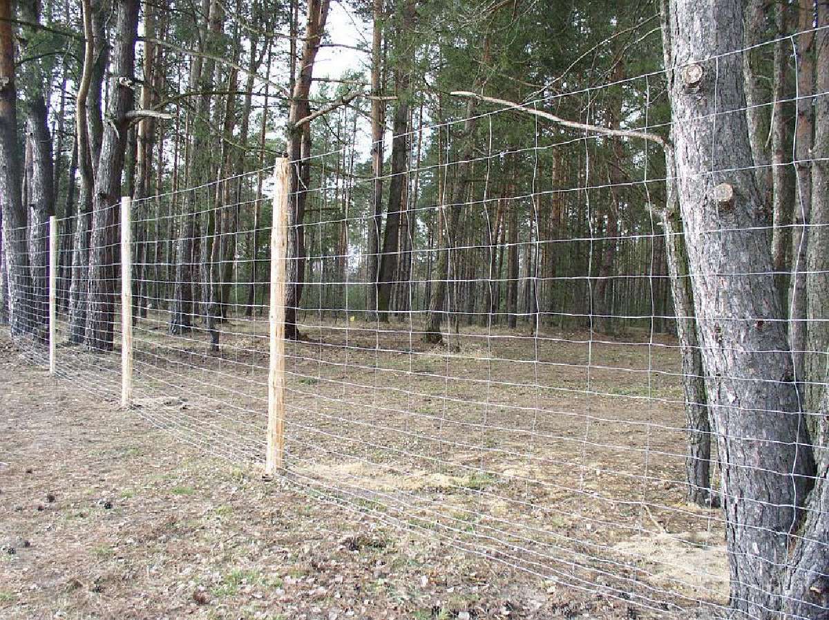 Tinklinių ir segmentinių tvorų montavimas - nuotraukos Nr. 3