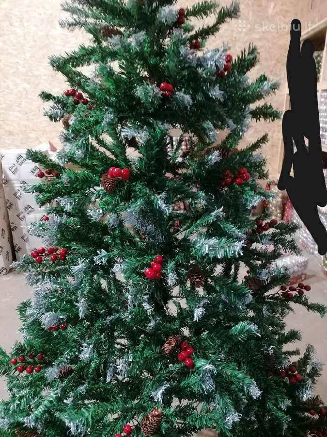 210cm vokiška eglutė - nuotraukos Nr. 5