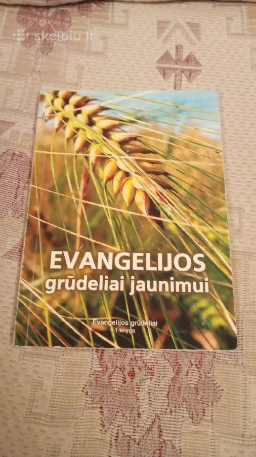 Evangelijos grūdeliai jaunimui