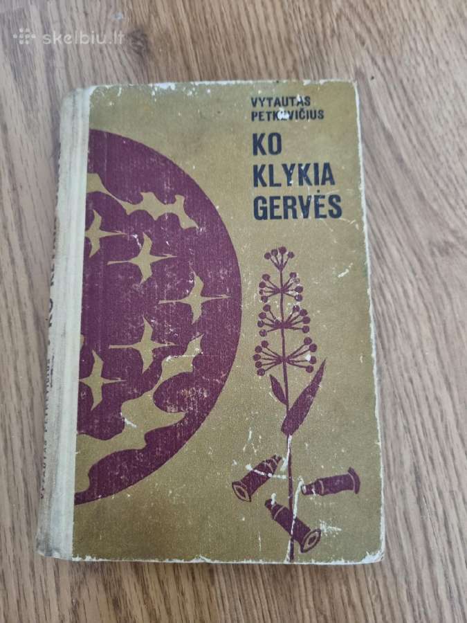 Idomios knygos-1 - nuotraukos Nr. 22