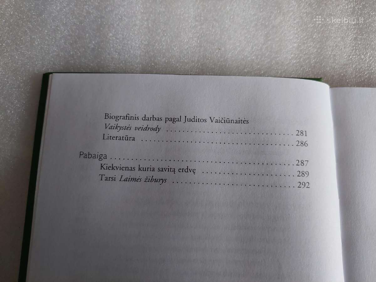 Valdorfo pedagogikos sklaida Lietuvoje - nuotraukos Nr. 6
