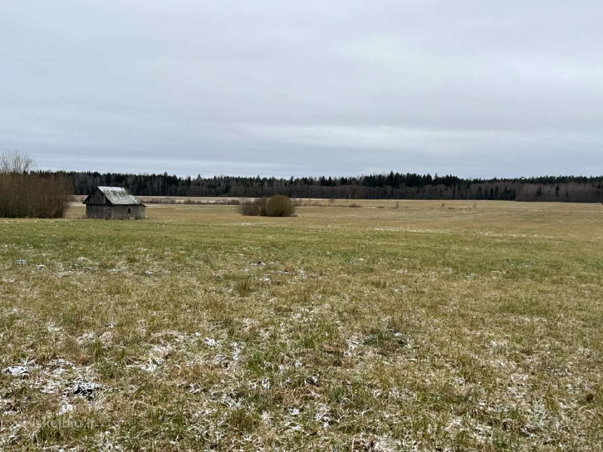 Žemė su sodyba ir mišku Žemalėje 15,5263 ha - nuotraukos Nr. 2