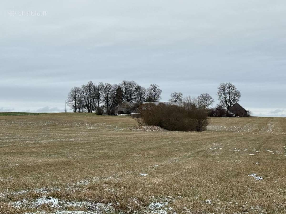 Žemė su sodyba ir mišku Žemalėje 15,5263 ha - nuotraukos Nr. 3