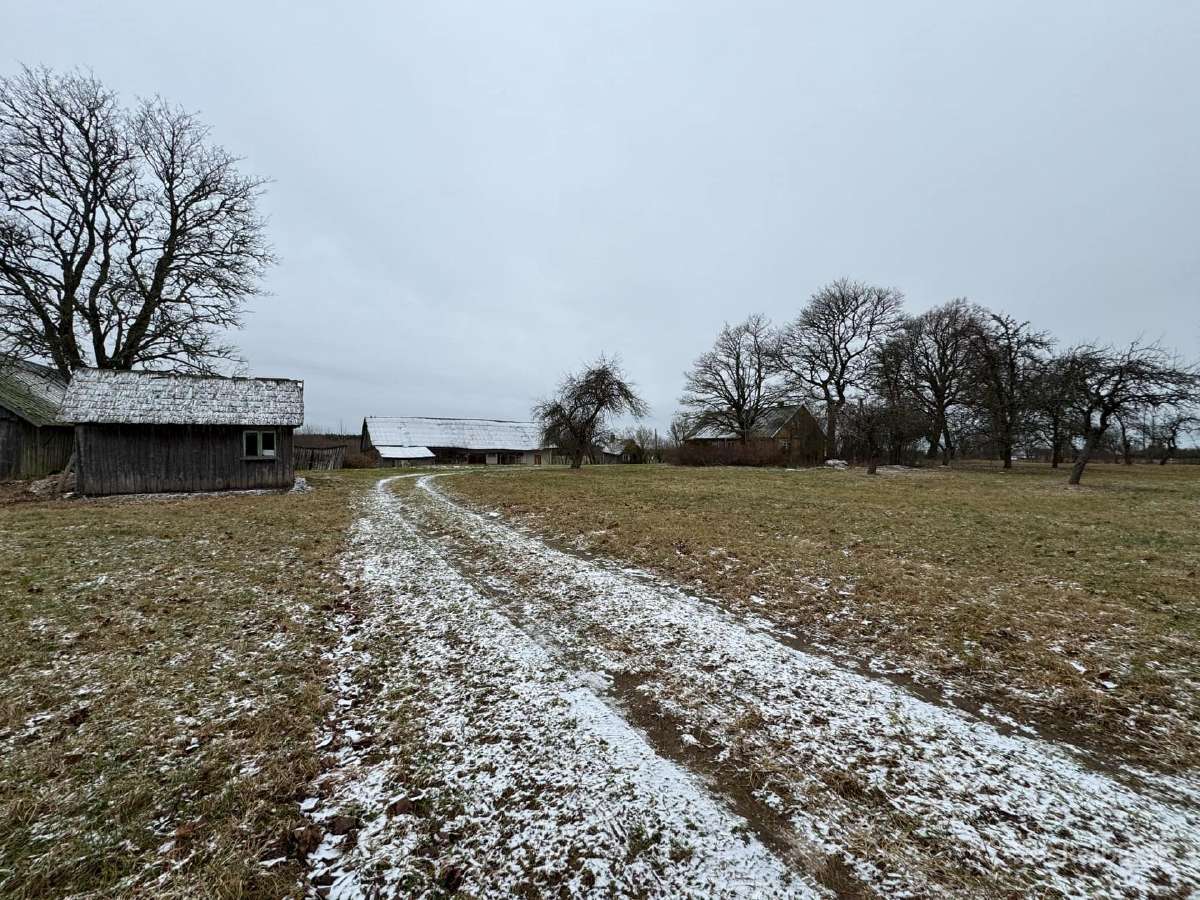 Žemė su sodyba ir mišku Žemalėje 15,5263 ha - nuotraukos Nr. 5