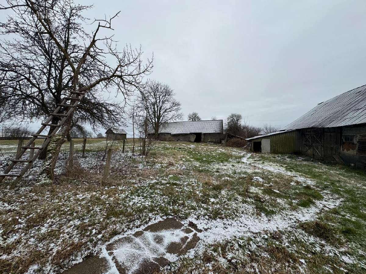 Žemė su sodyba ir mišku Žemalėje 15,5263 ha - nuotraukos Nr. 6