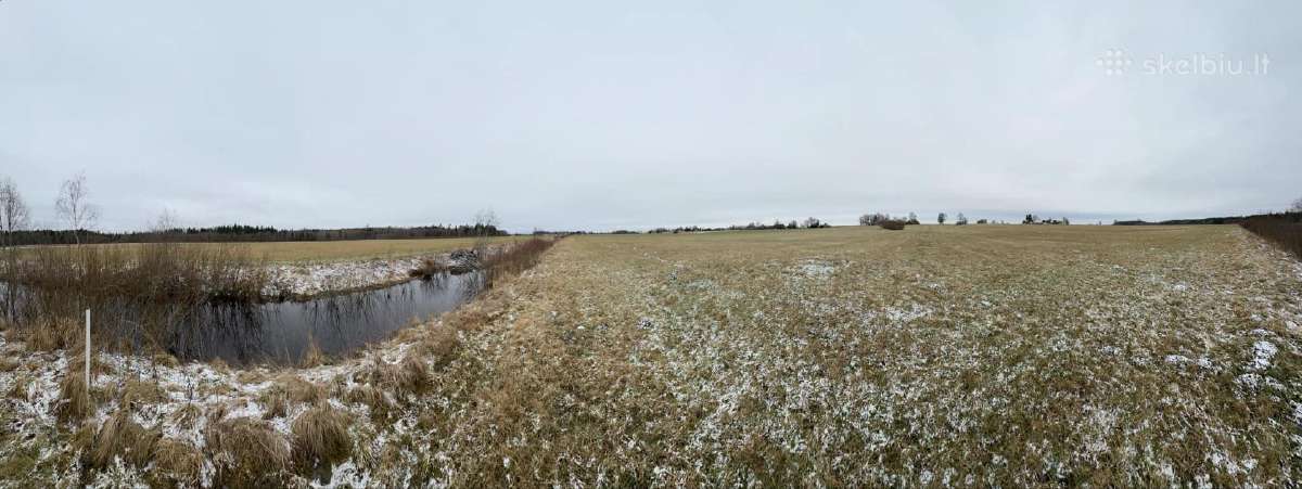 Žemė su sodyba ir mišku Žemalėje 15,5263 ha - nuotraukos Nr. 7