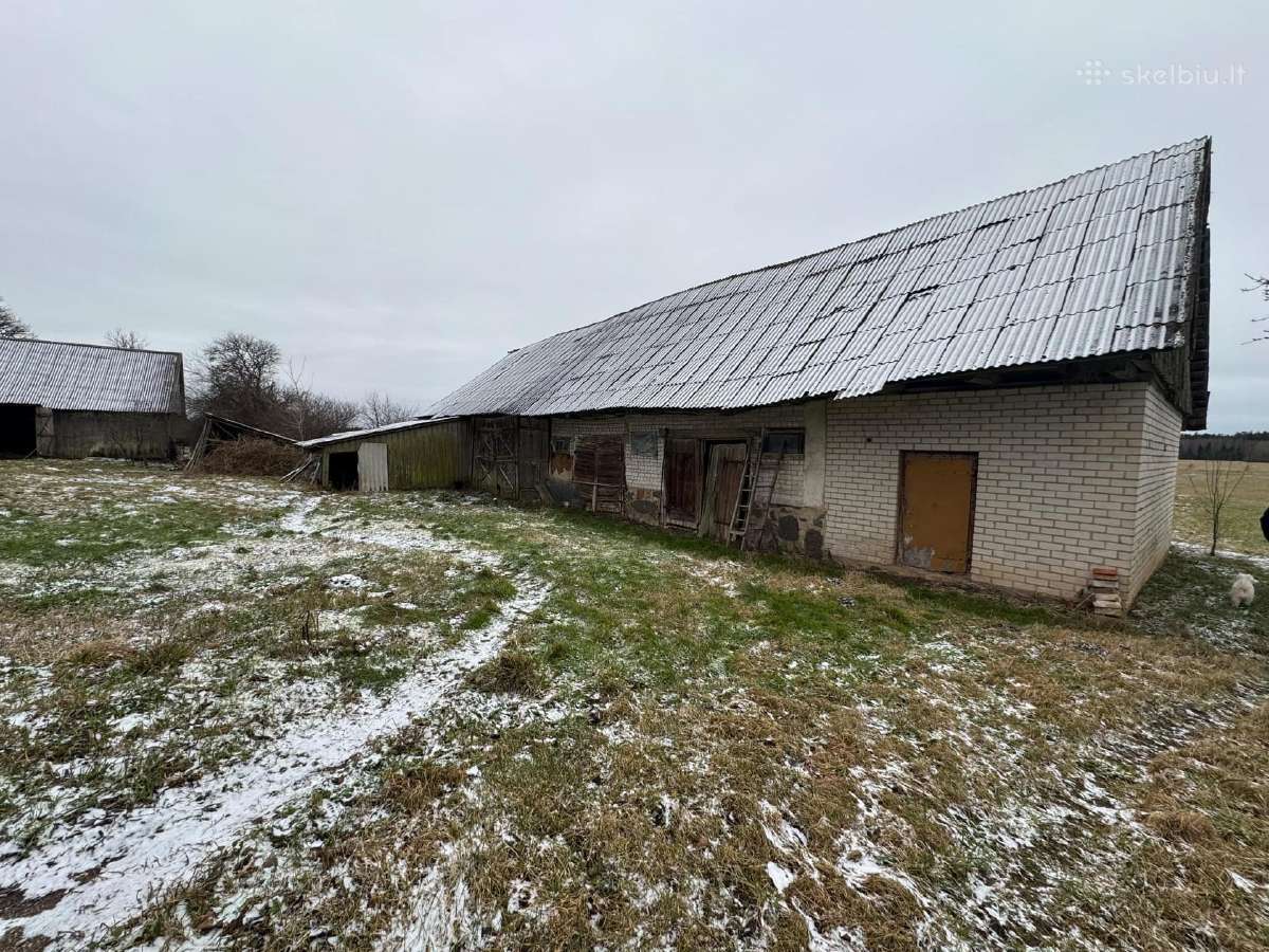 Žemė su sodyba ir mišku Žemalėje 15,5263 ha - nuotraukos Nr. 9