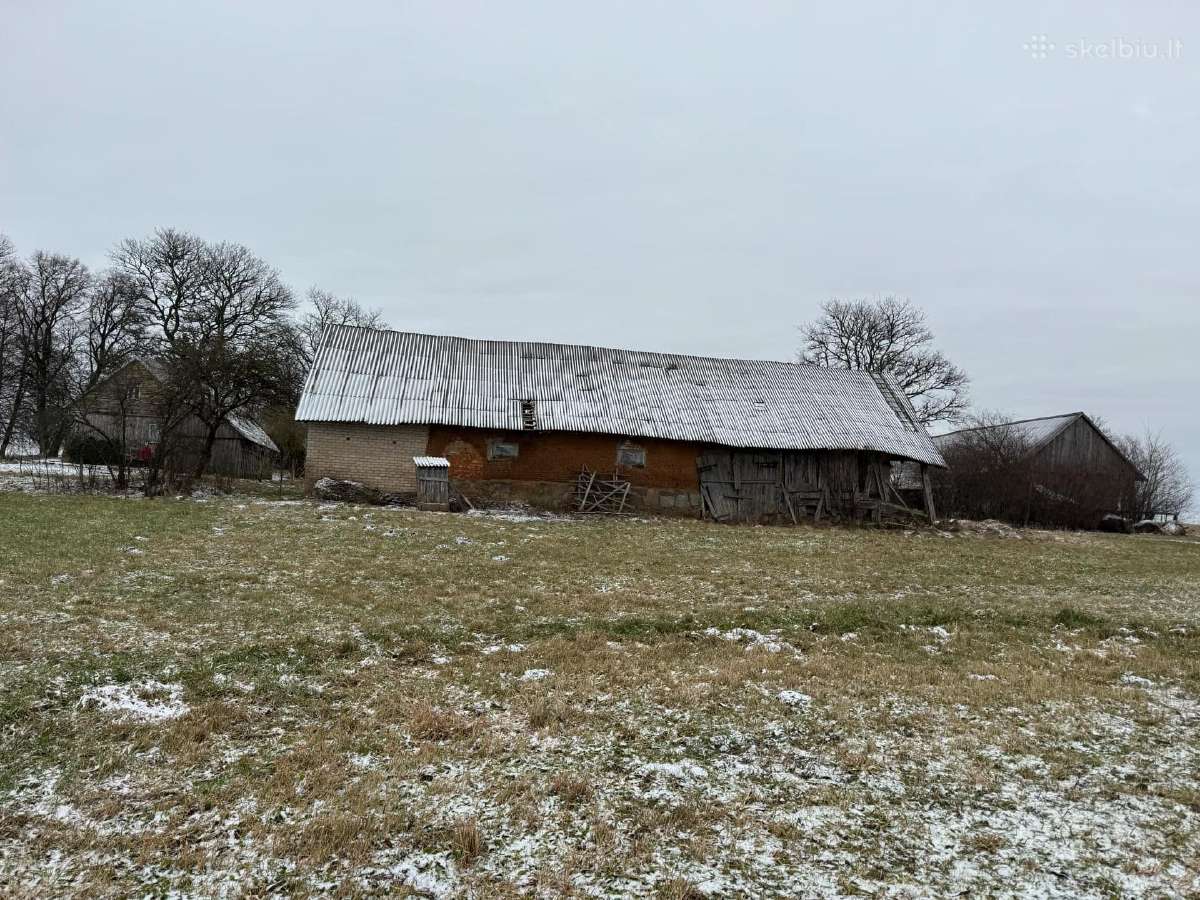 Žemė su sodyba ir mišku Žemalėje 15,5263 ha - nuotraukos Nr. 10