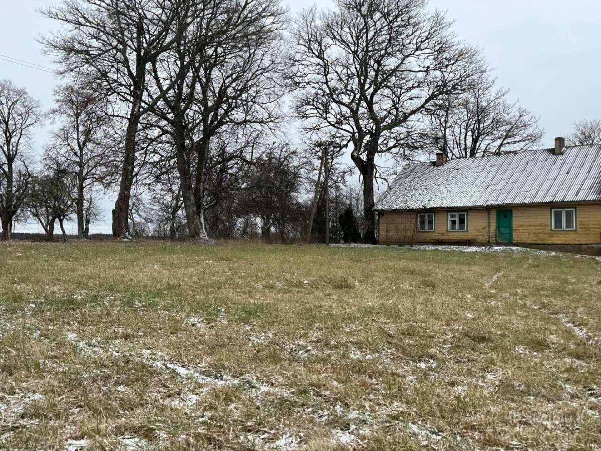 Žemė su sodyba ir mišku Žemalėje 15,5263 ha - nuotraukos Nr. 11