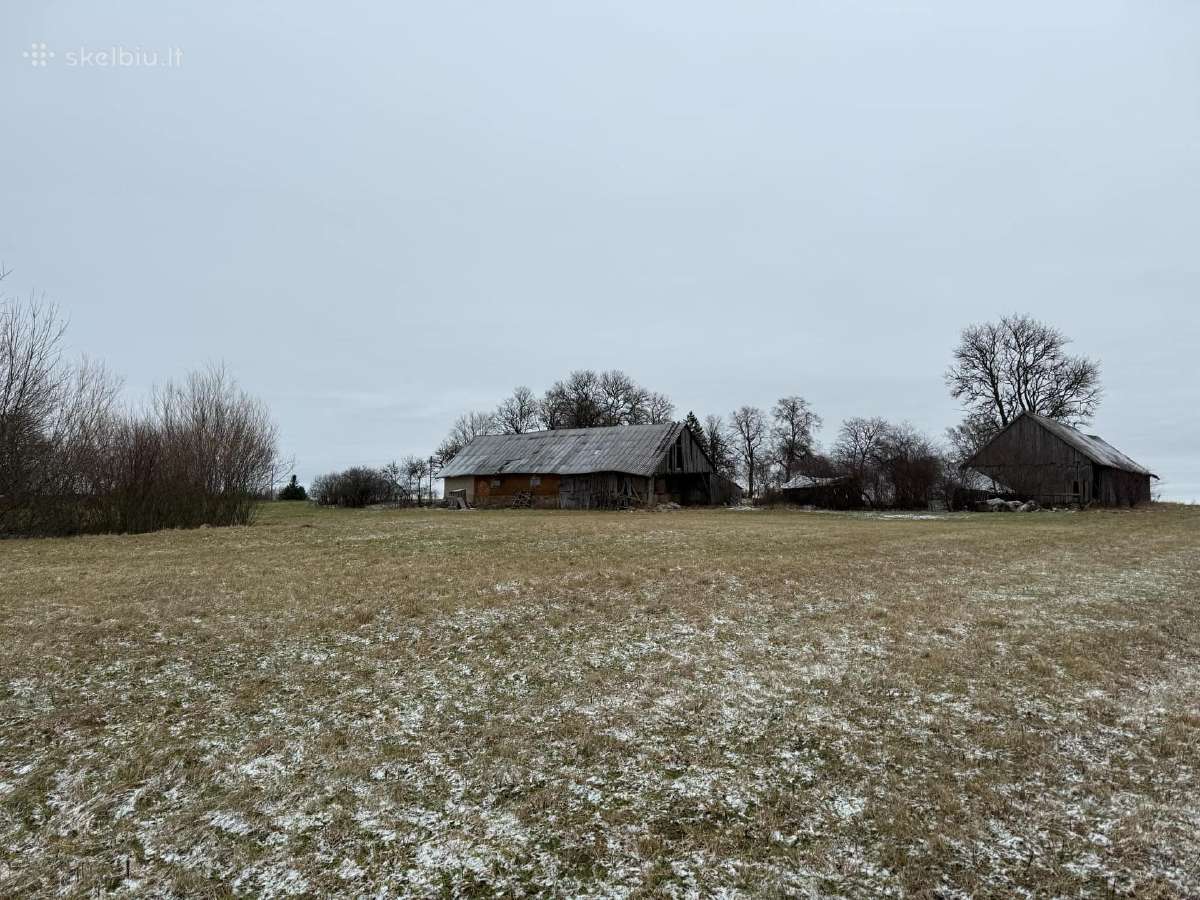 Žemė su sodyba ir mišku Žemalėje 15,5263 ha - nuotraukos Nr. 12