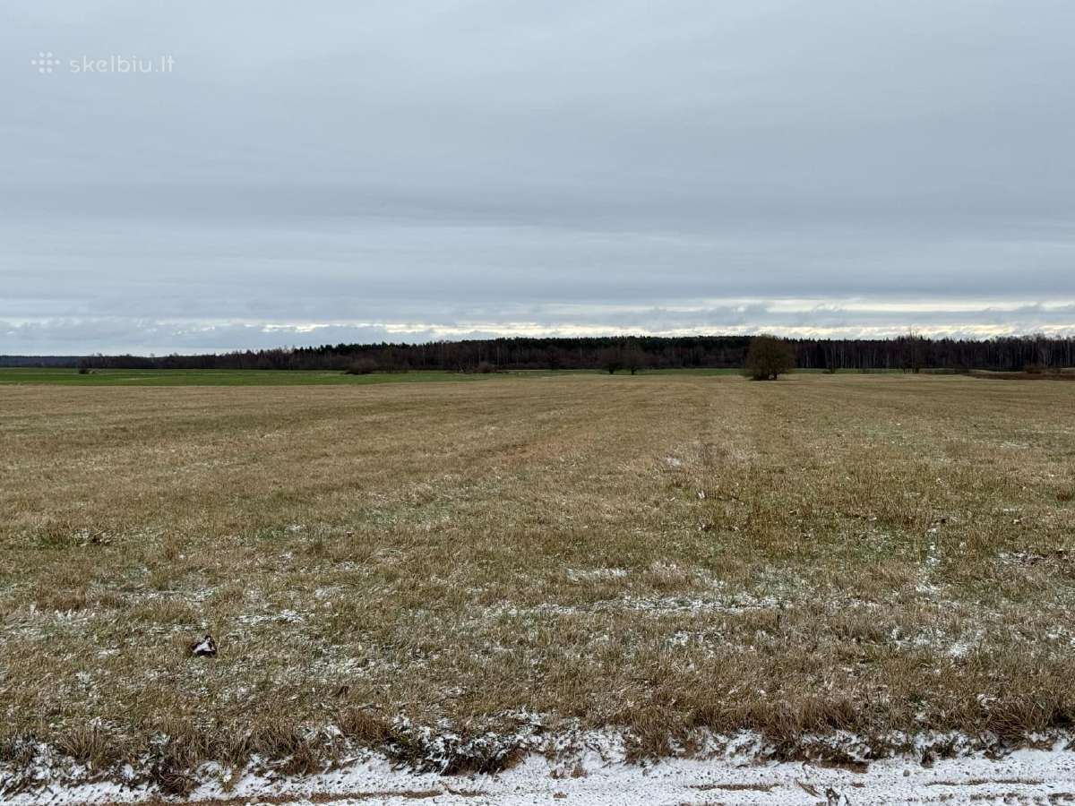 Žemė su sodyba ir mišku Žemalėje 15,5263 ha - nuotraukos Nr. 13