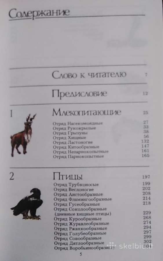 Reti ir nykstantis gyvūnai - nuotraukos Nr. 4