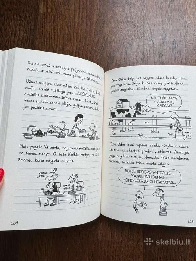 Nevykėlio dienoraštis 19 dalis - nuotraukos Nr. 2