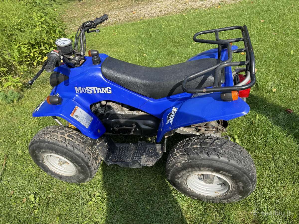 Vaikiškas bendzininis 49 cc keturatis