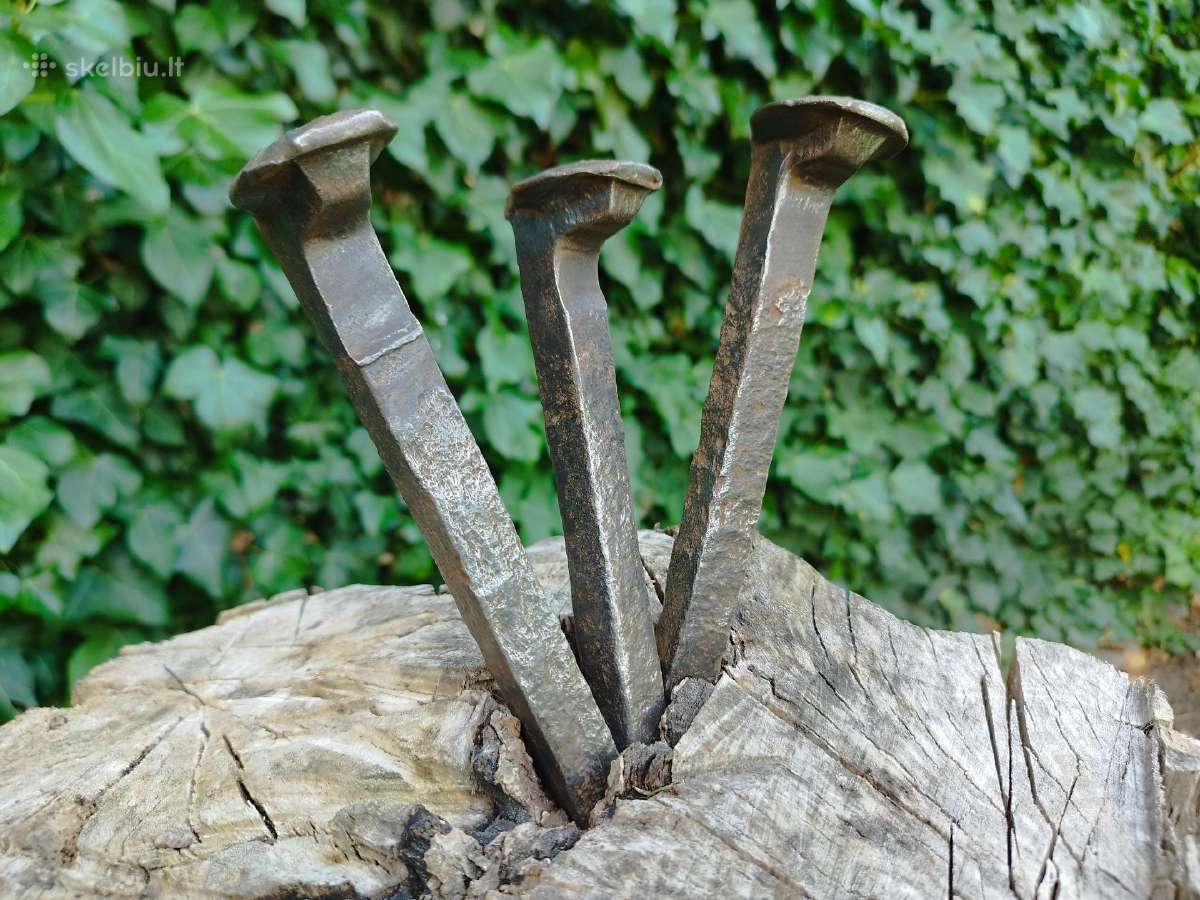 Bėgvinės metalinės senos interjerui eksterjerui - nuotraukos Nr. 12