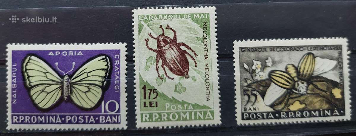 Rumunija 1956 drugeliai ir vabzdžiai, švarus Miche