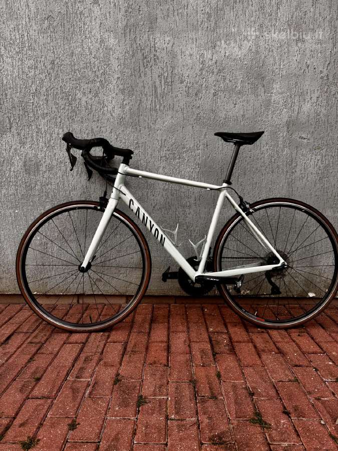 Canyon Endurace 7 Rb 2024