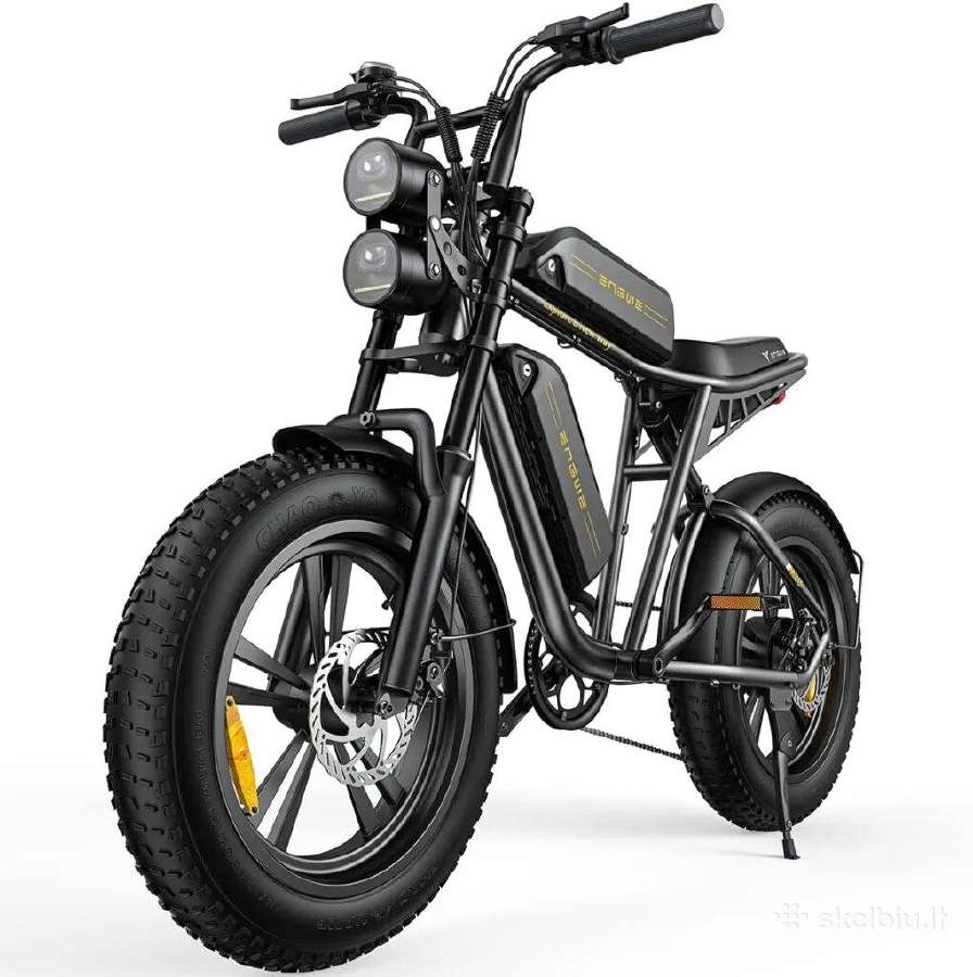 E-bike Rent Engwe M20 Dual Battery