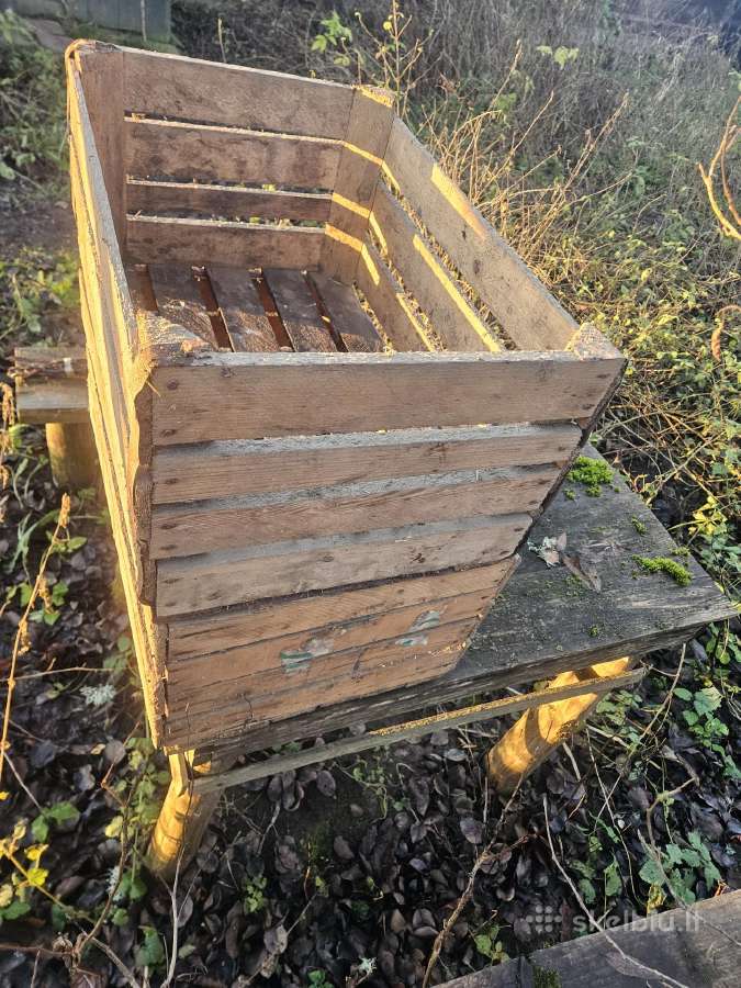 Dežes obuoliams pailgos standart - nuotraukos Nr. 2