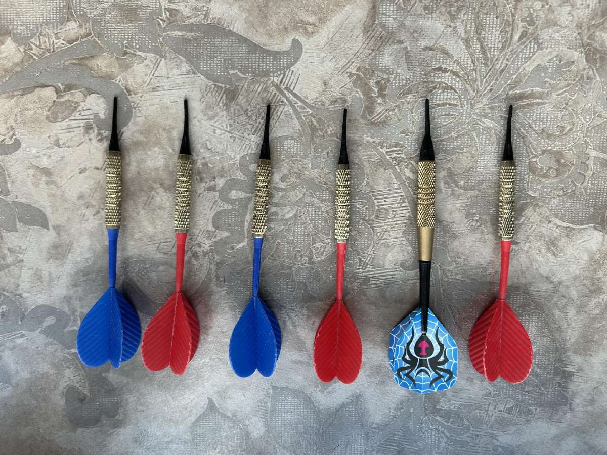 Darts - nuotraukos Nr. 2