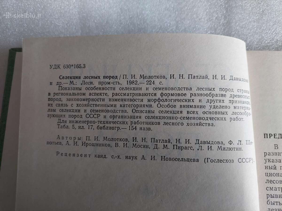 Селекция лесных пород - nuotraukos Nr. 3