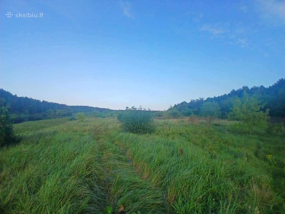 Sklypas su Nemuno pakrante - nuotraukos Nr. 6