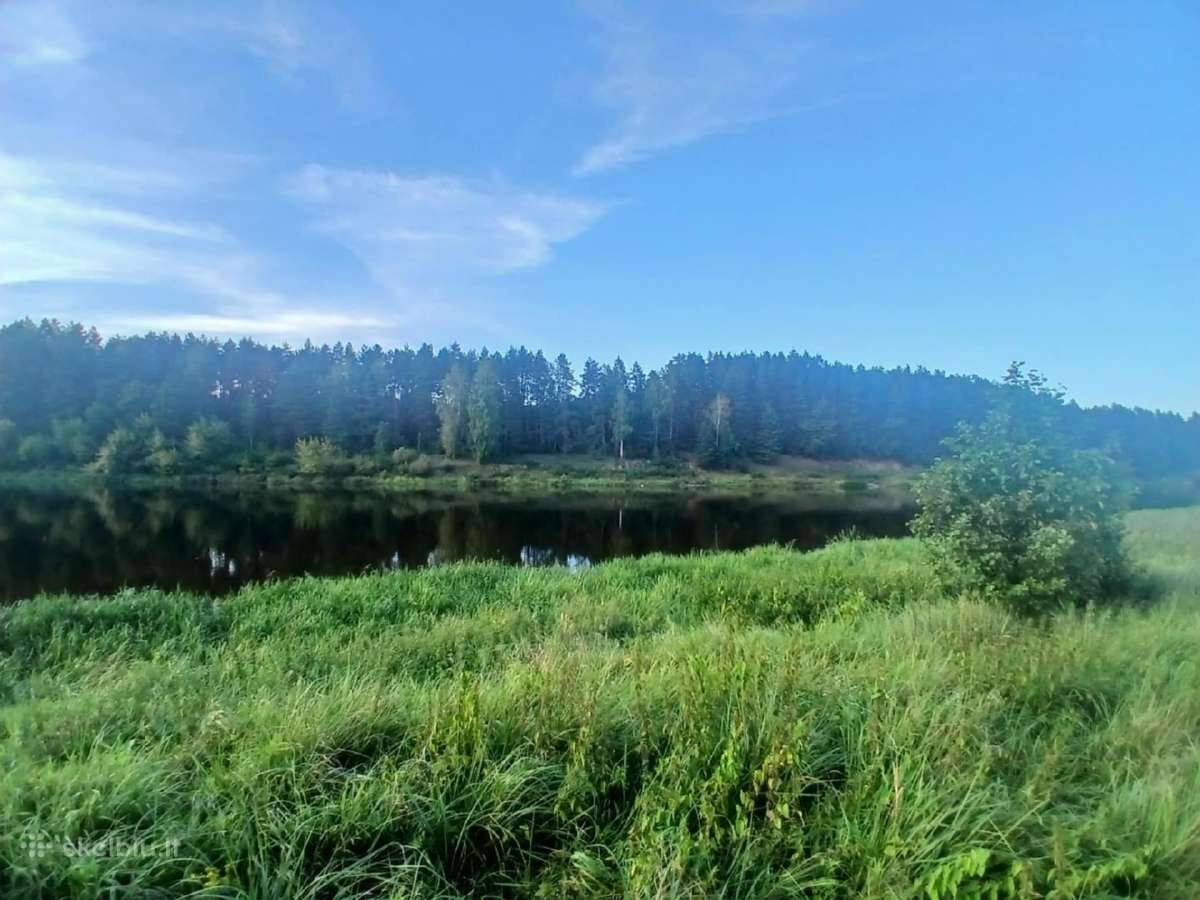Sklypas su Nemuno pakrante - nuotraukos Nr. 10