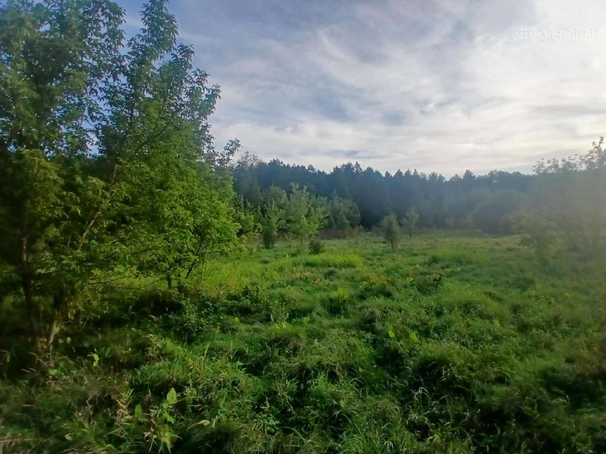 Sklypas su Nemuno pakrante - nuotraukos Nr. 12