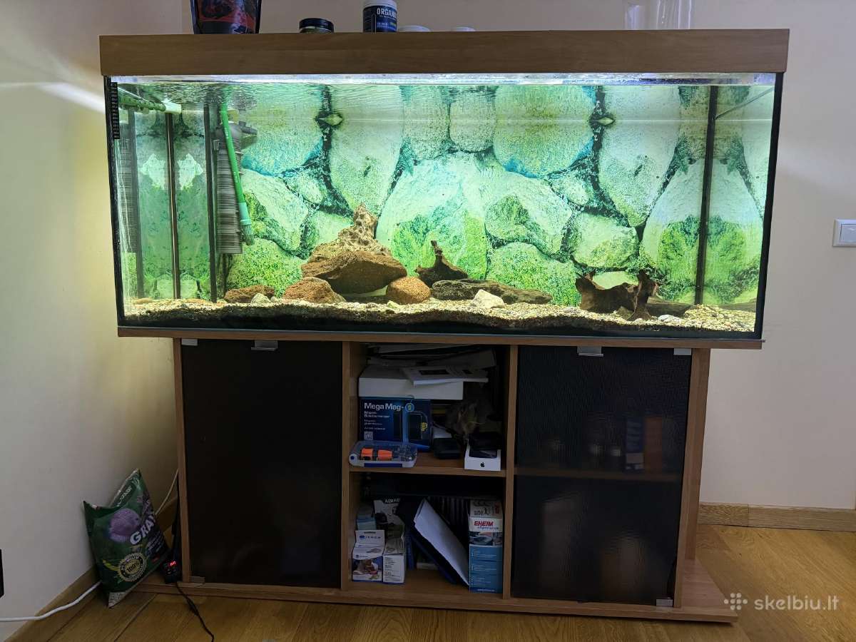 Parduodamas 500 litrų akvariumas su įranga
