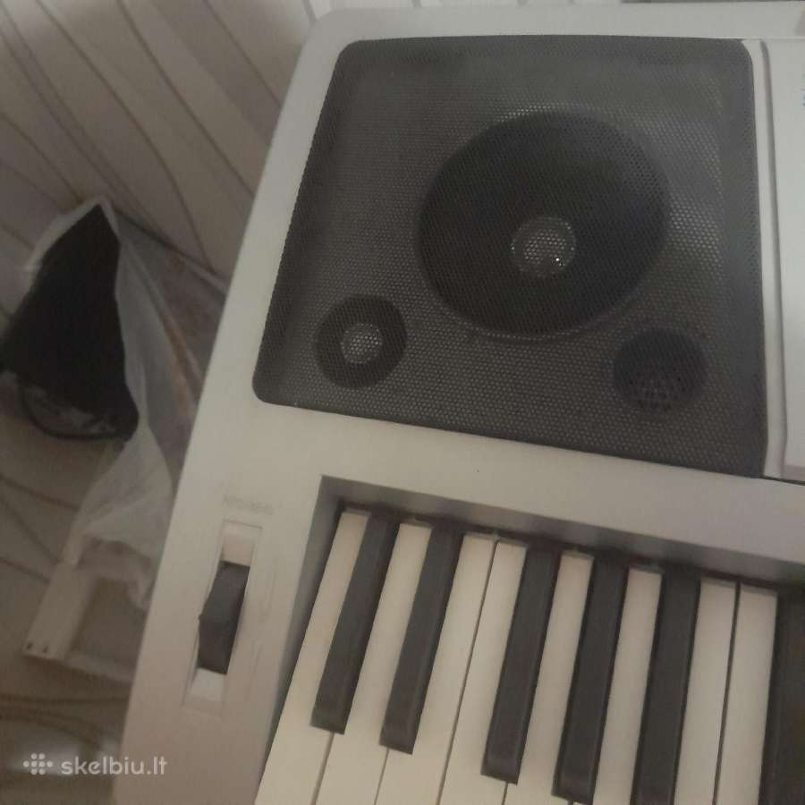Elektrinis pianinas - nuotraukos Nr. 4