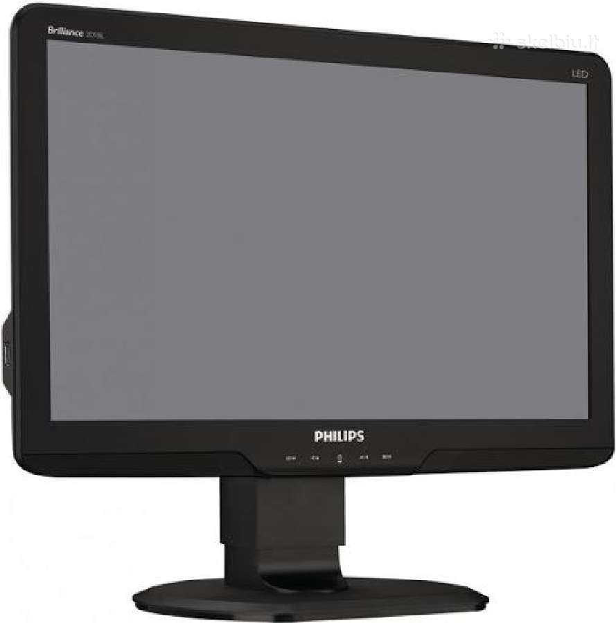 20" Philips 201bl2cb/00 (Vga + Dvi / Usb + Sound)