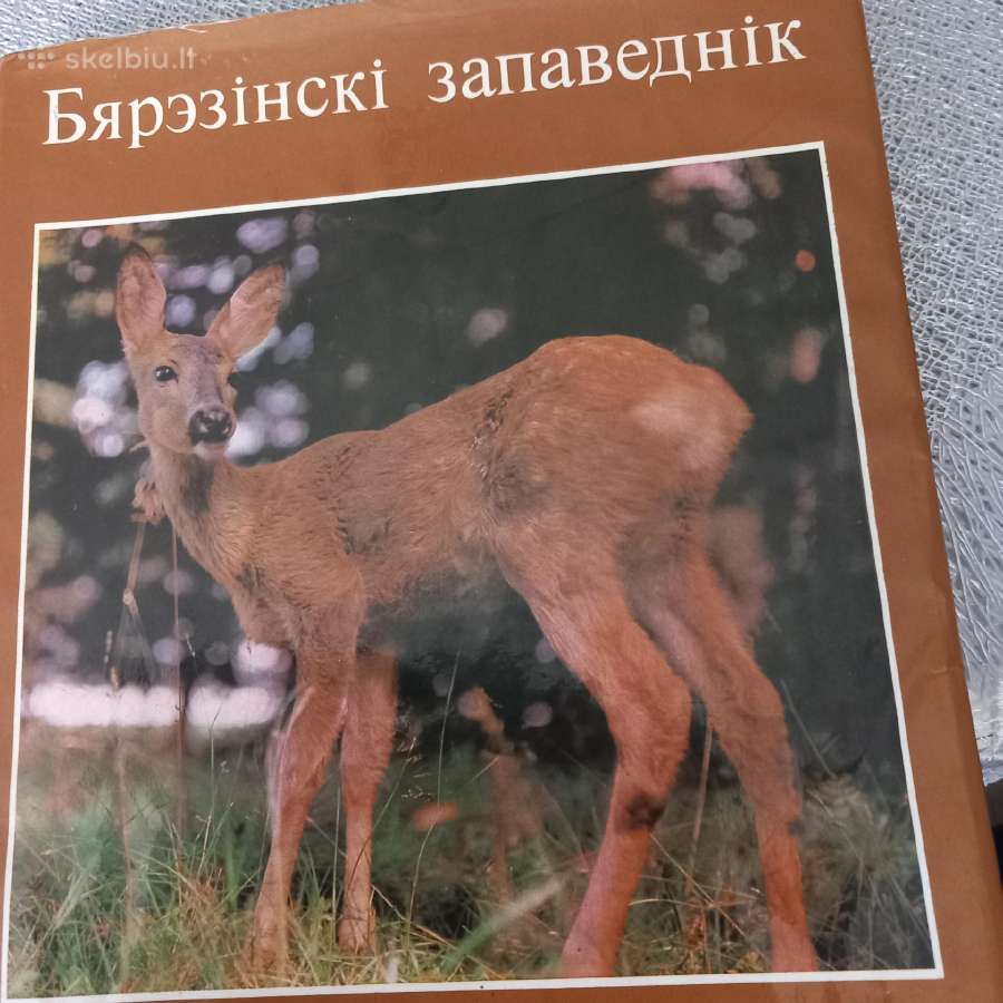 Berezinskij zapovednik (rusų kalba)