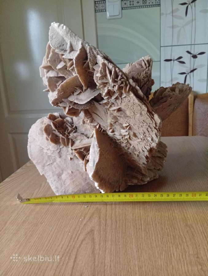 Dykumos rožė - nuotraukos Nr. 6