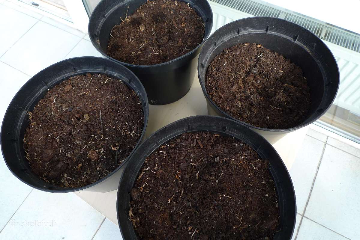 Didelis 40 x 31 molio ir 7vnt plastik.tik 30 Eur - nuotraukos Nr. 7