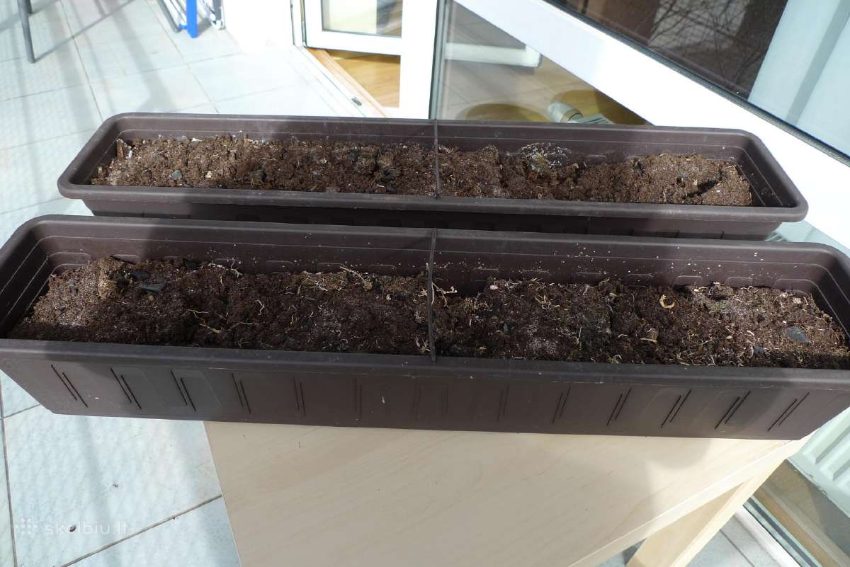 Didelis 40 x 31 molio ir 7vnt plastik.tik 30 Eur - nuotraukos Nr. 9
